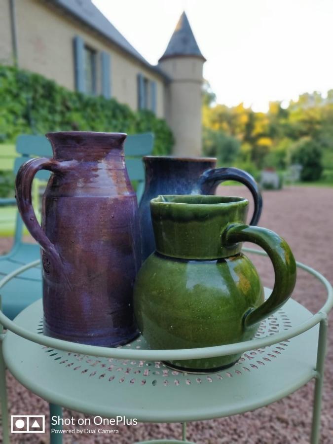 Chateau De Saint Etienne Dış mekan fotoğraf