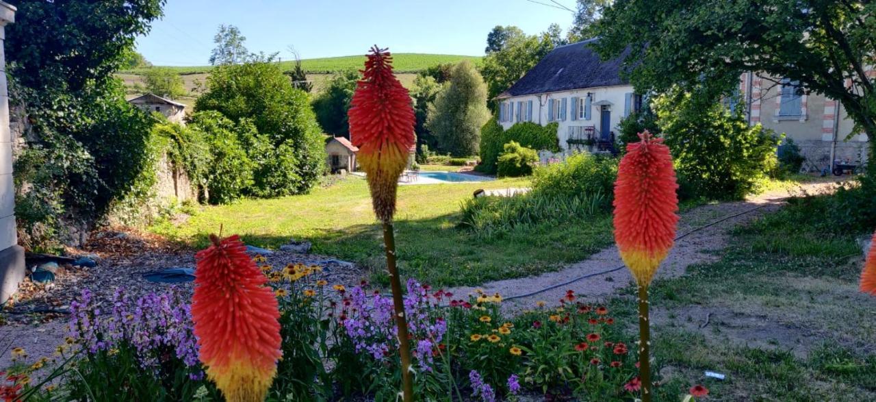 Chateau De Saint Etienne Dış mekan fotoğraf